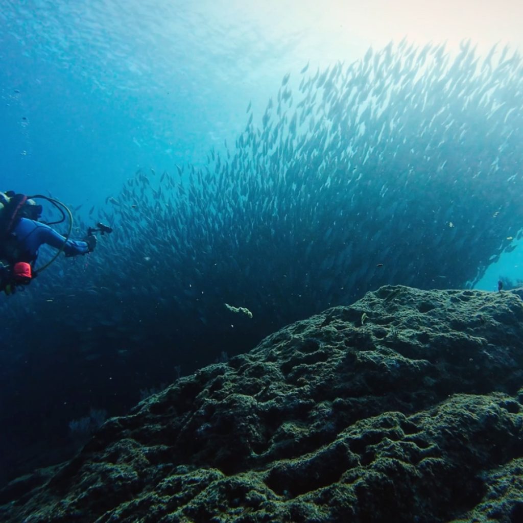 DIVE01